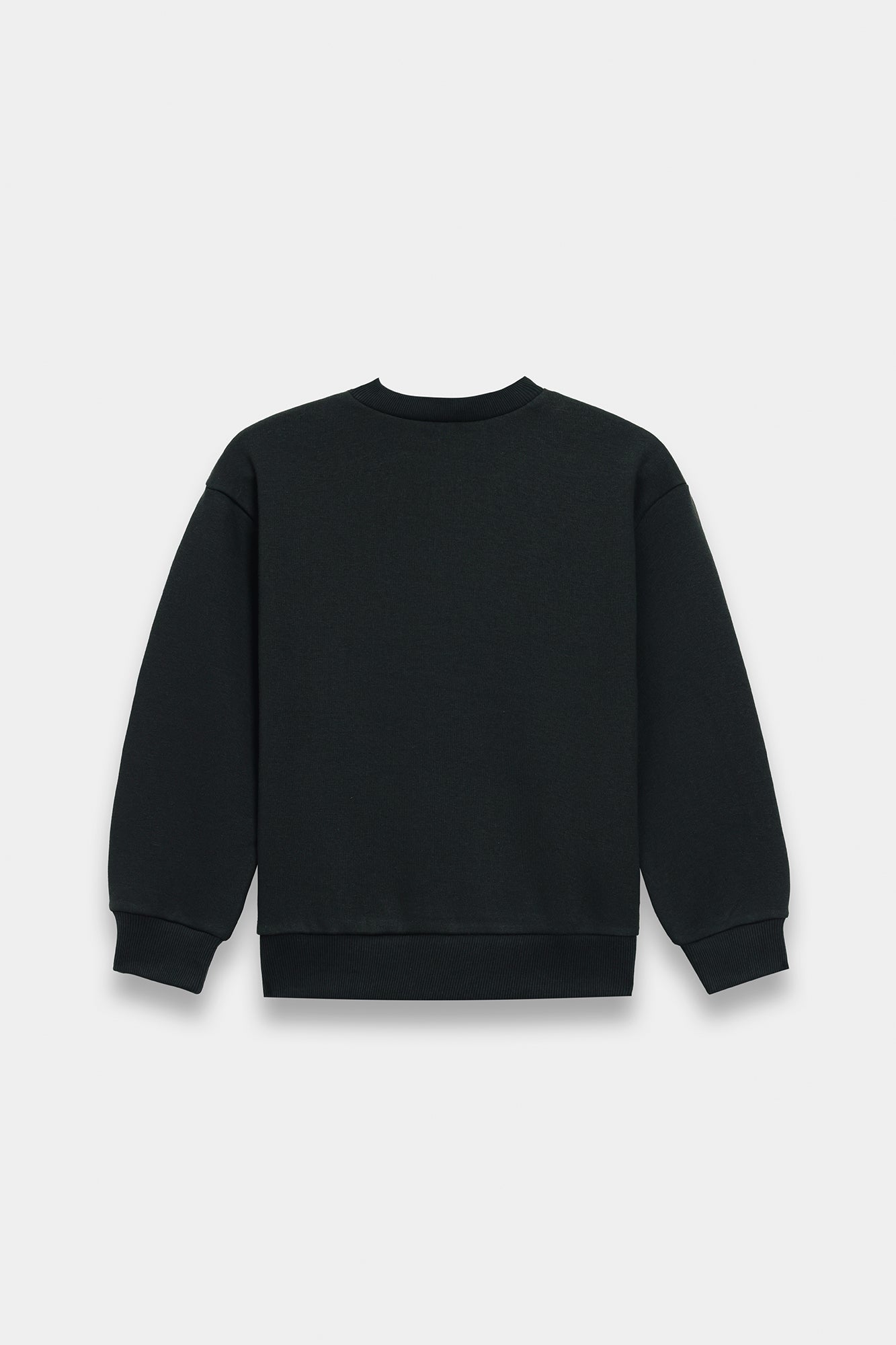 SWEAT SHIRT (E1811/401/904)
