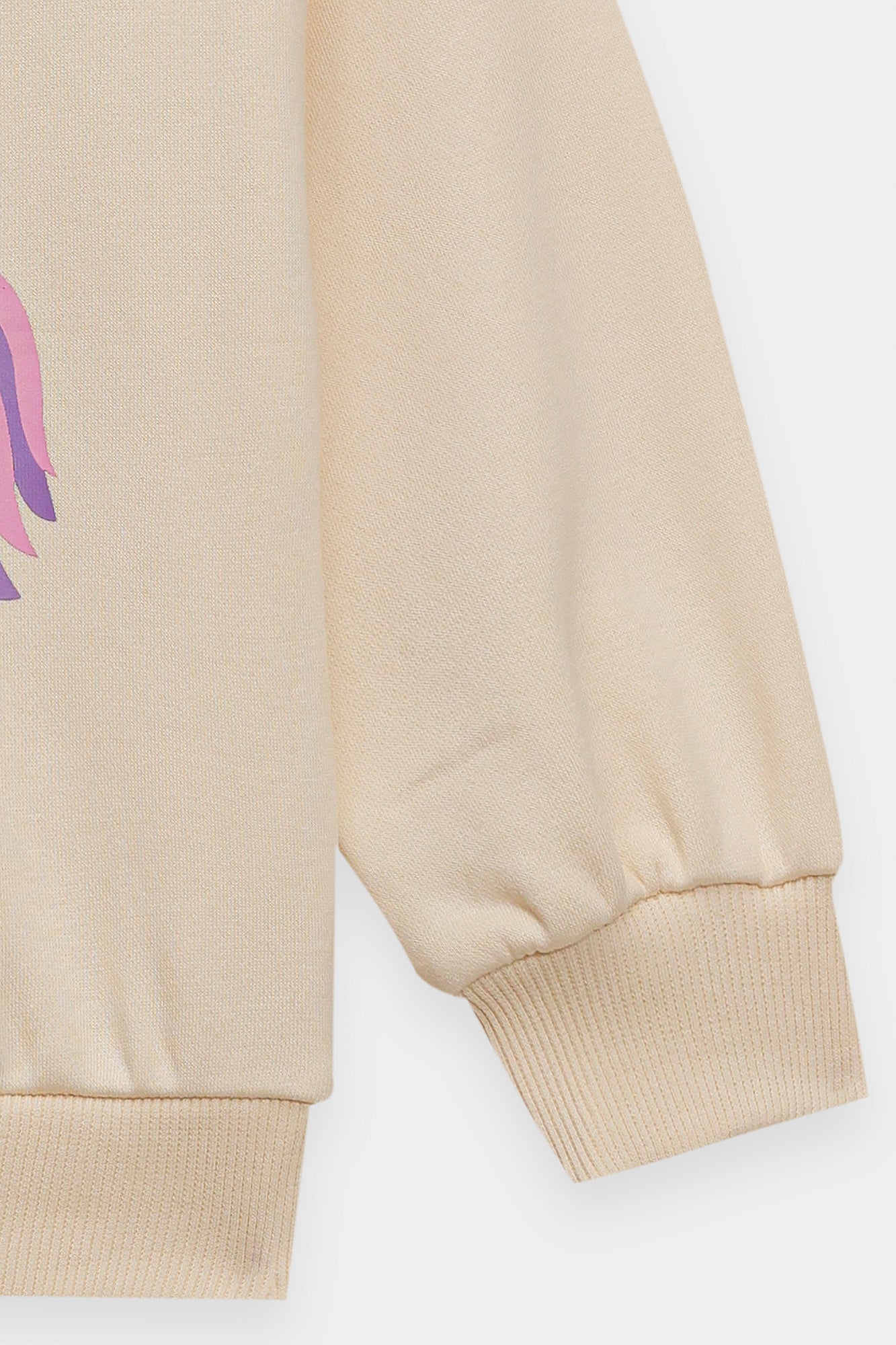 SWEAT SHIRT (E1815/301/002)