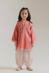 EMBROIDERED SUIT (E1816-402-314 E1816-302-314)