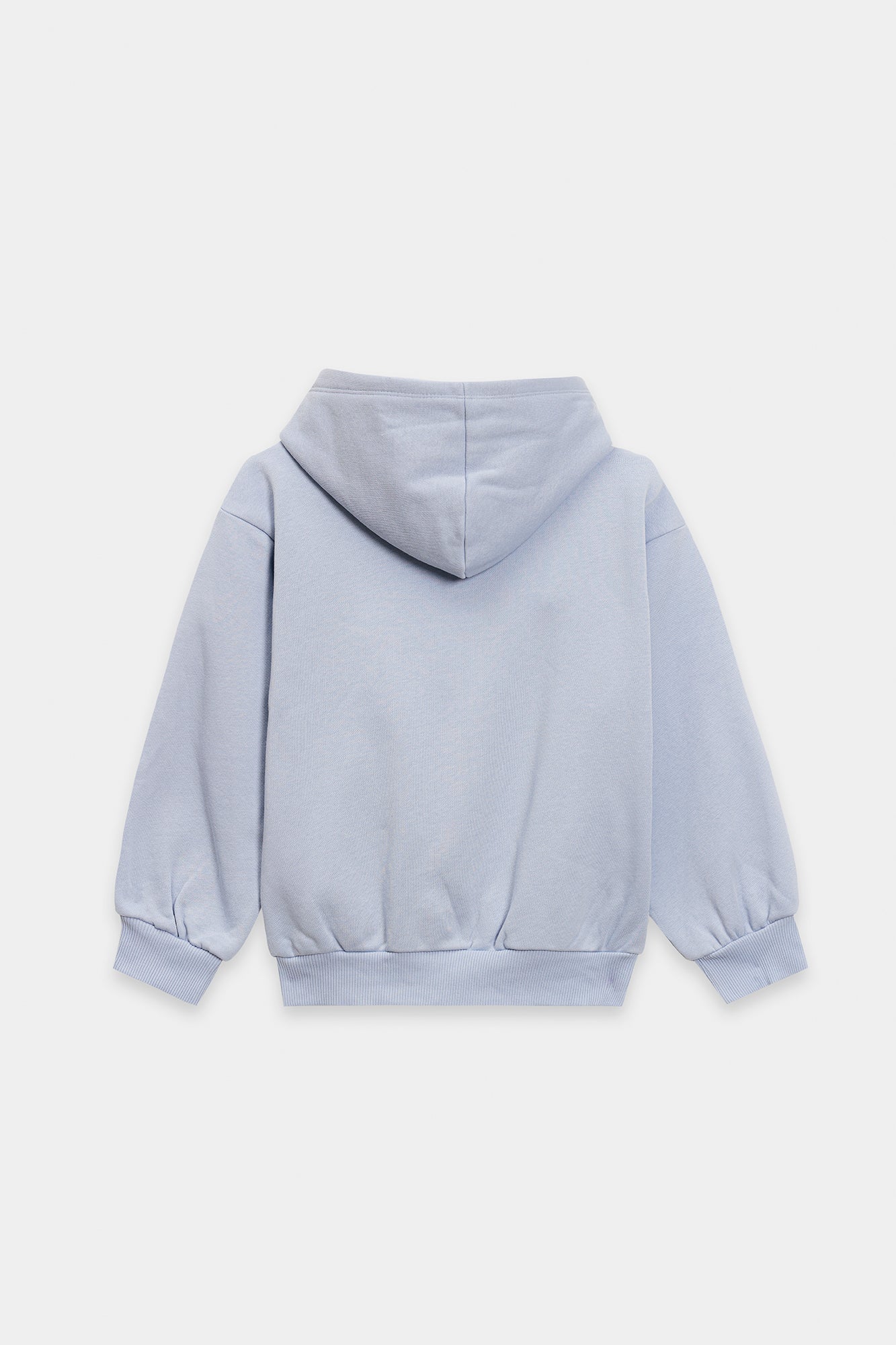 HOODIE (E1820/401/635)