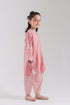 EMBROIDERED SUIT (E1853-402-426 E1853-302-426)