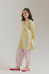 EMBROIDERED SUIT (E1855-402-115 E1855-302-115)