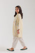 EMBROIDERED SUIT (E1889-402-115 E1889-302-115)