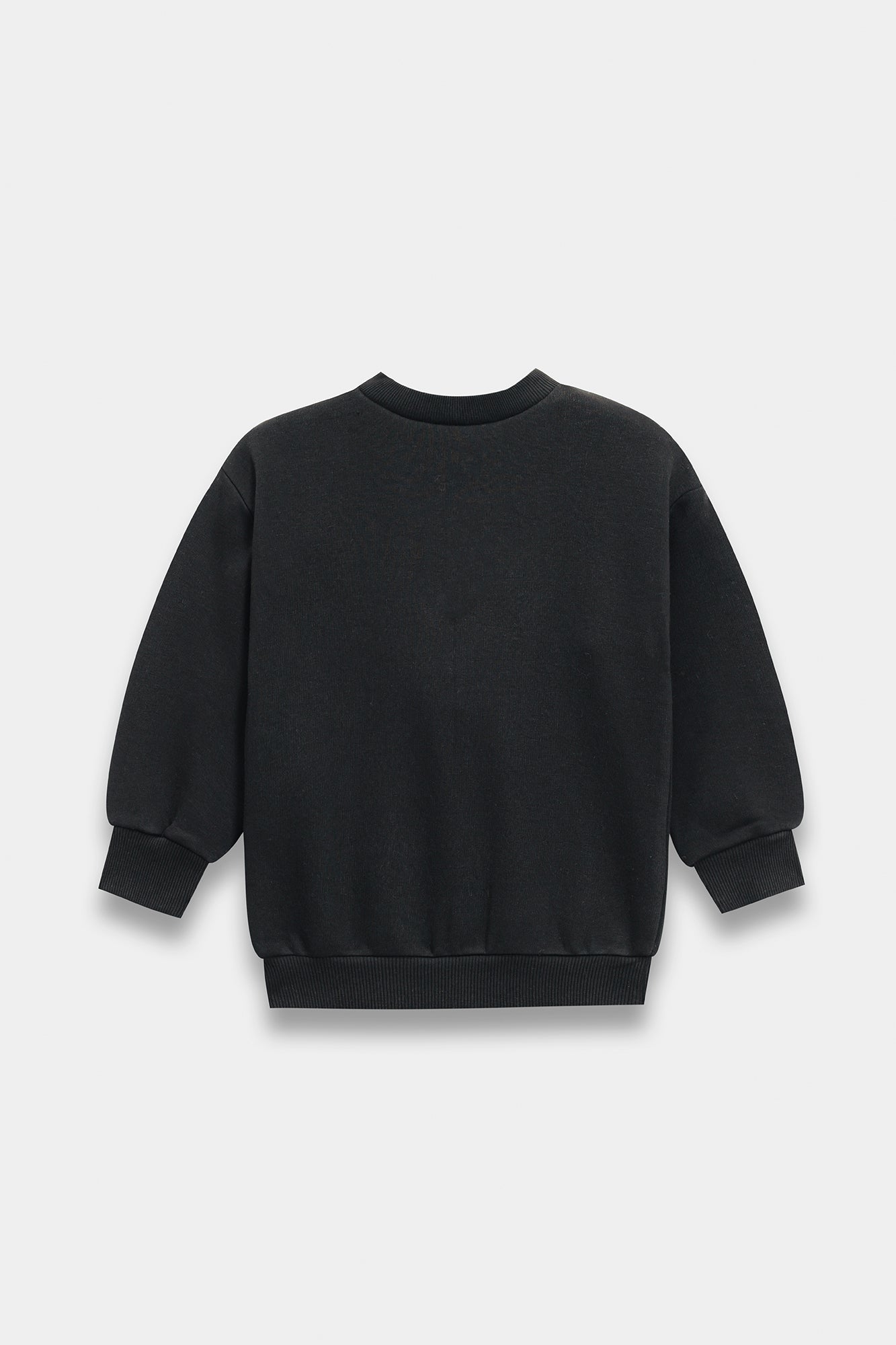 SWEATSHIRT (E1940/301/901)