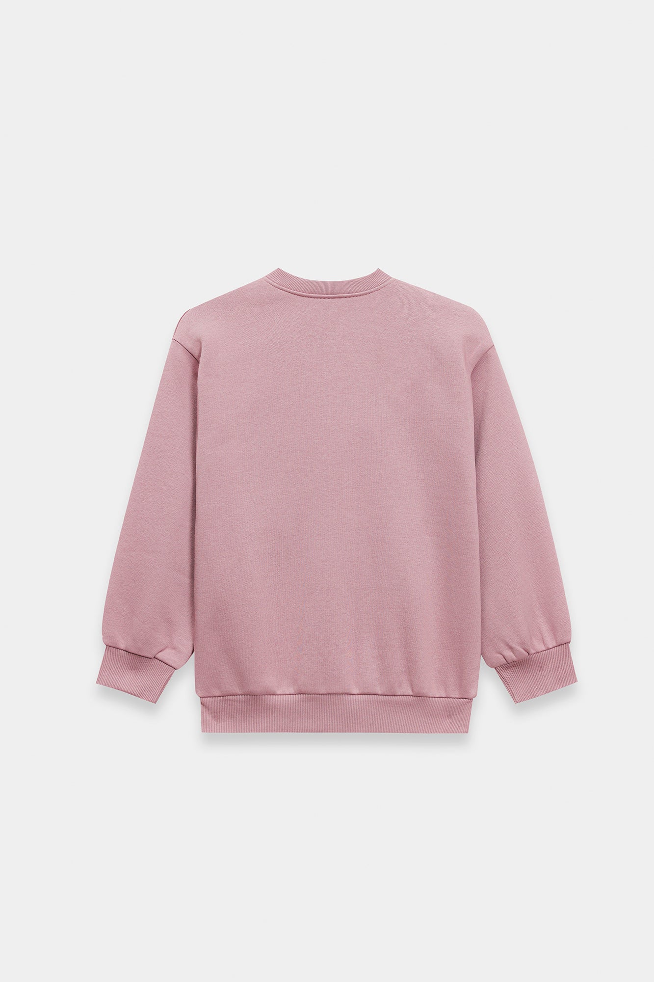 SWEAT SHIRT (E1943/401/514)