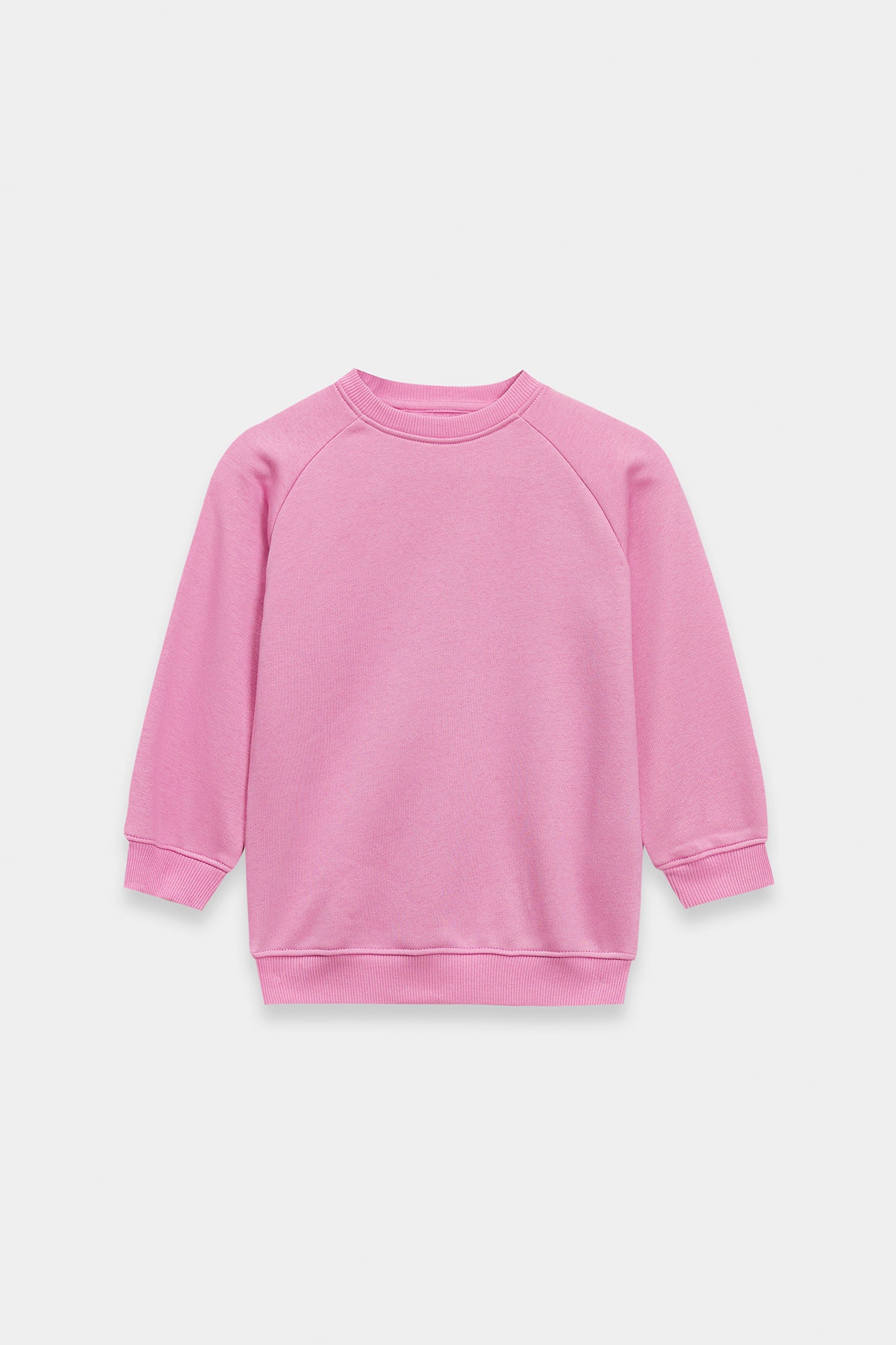 SWEATSHIRT (E1946/301/529)