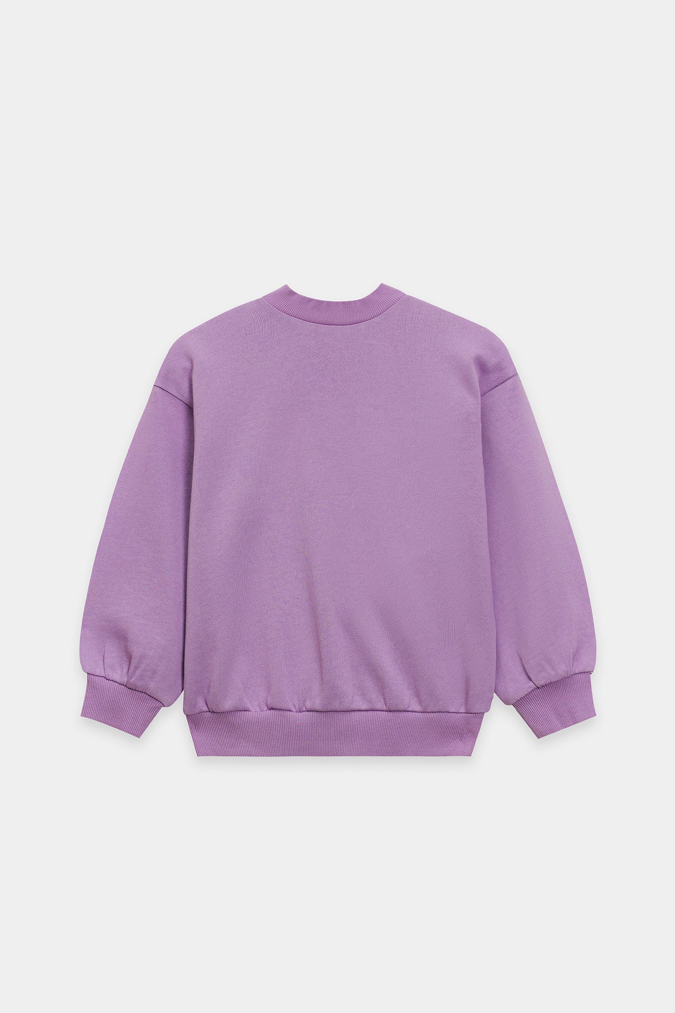 SWEAT SHIRT (E1947/401/513)