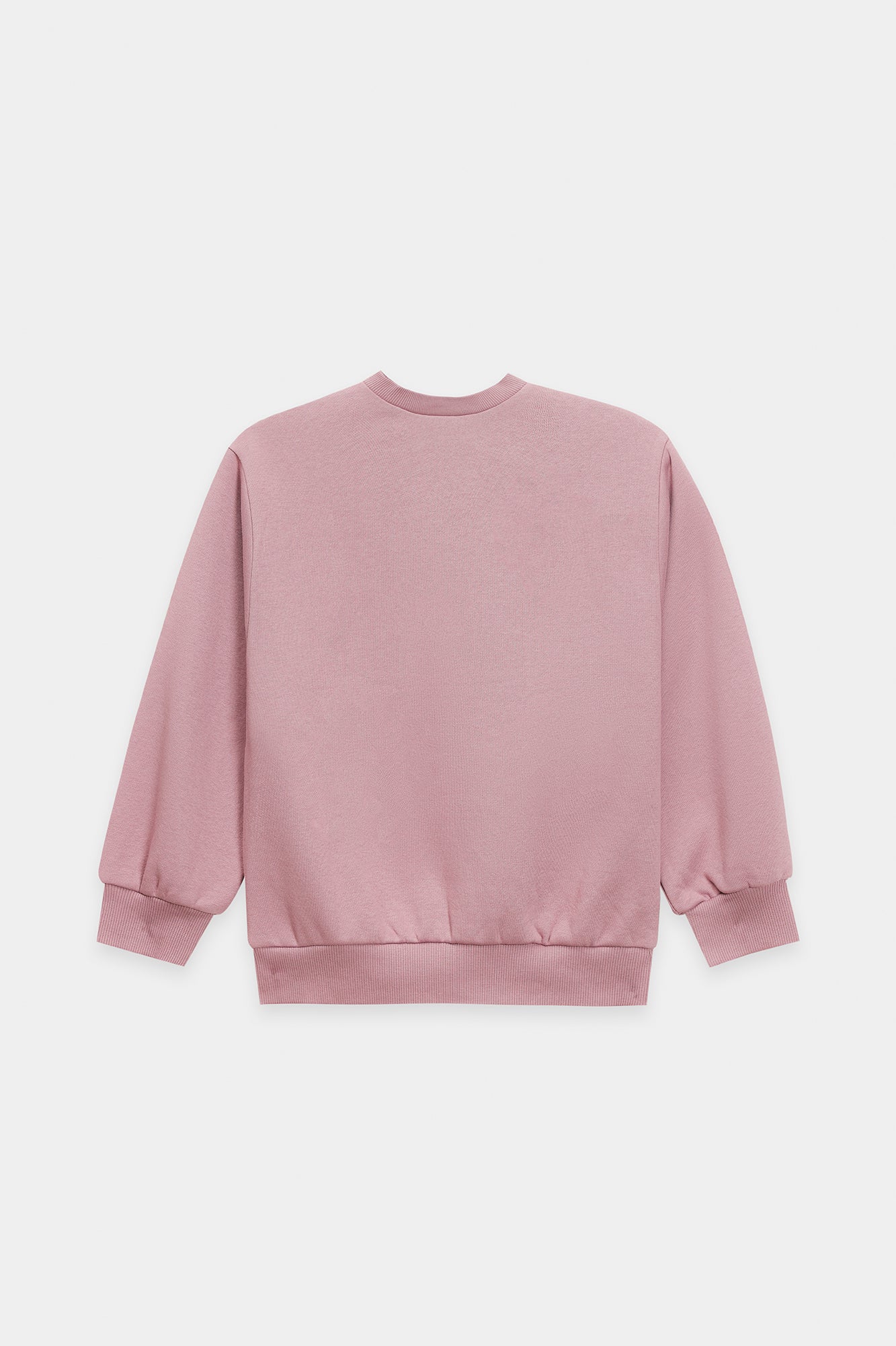 SWEAT SHIRT (E1948/401/514)