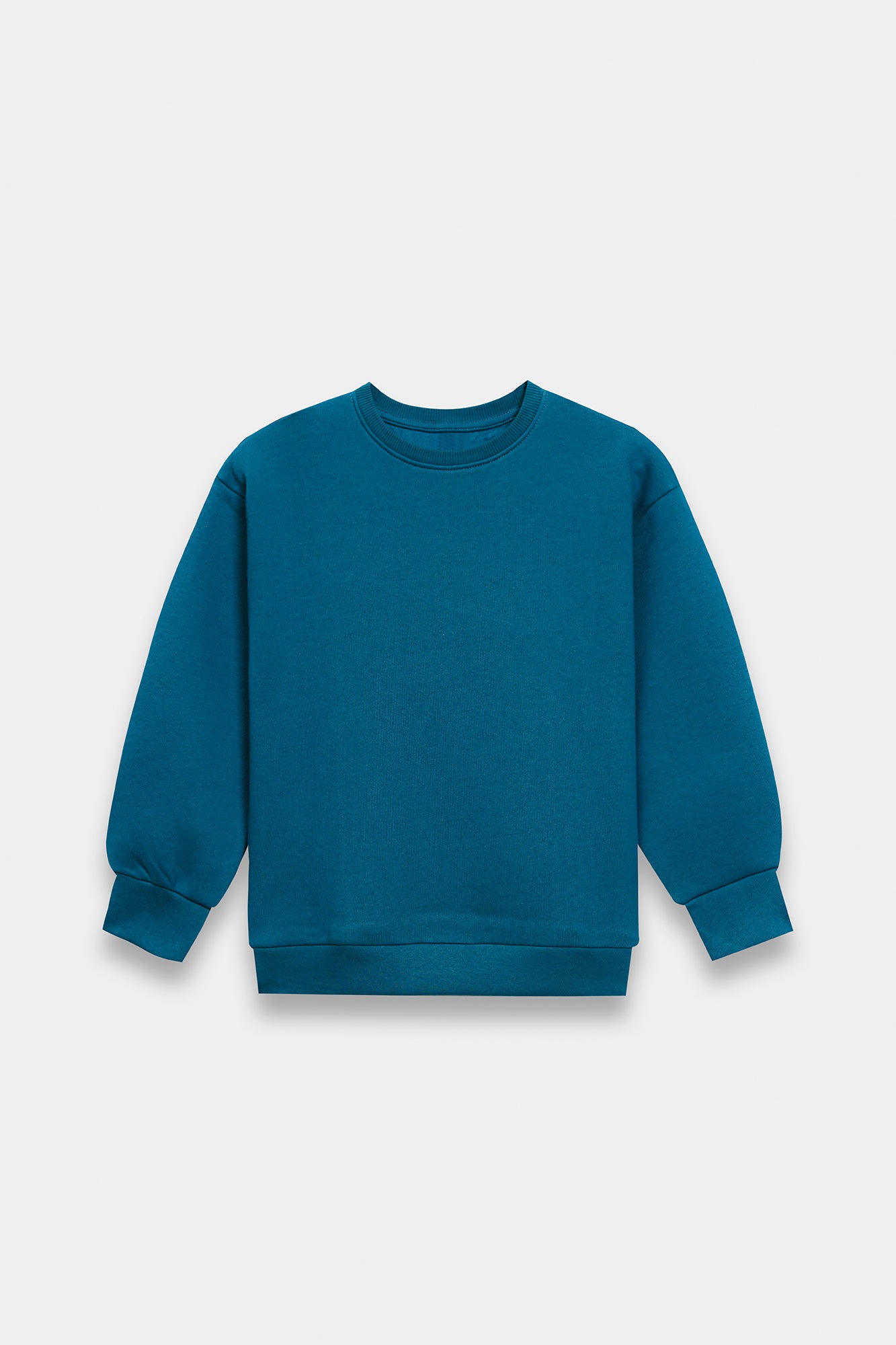 SWEAT SHIRT (E1953/401/711)