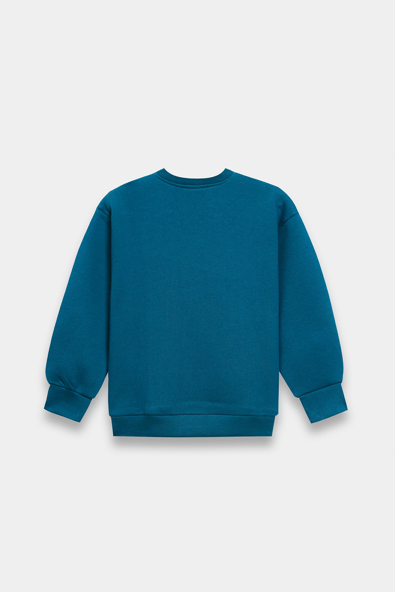 SWEAT SHIRT (E1953/401/711)