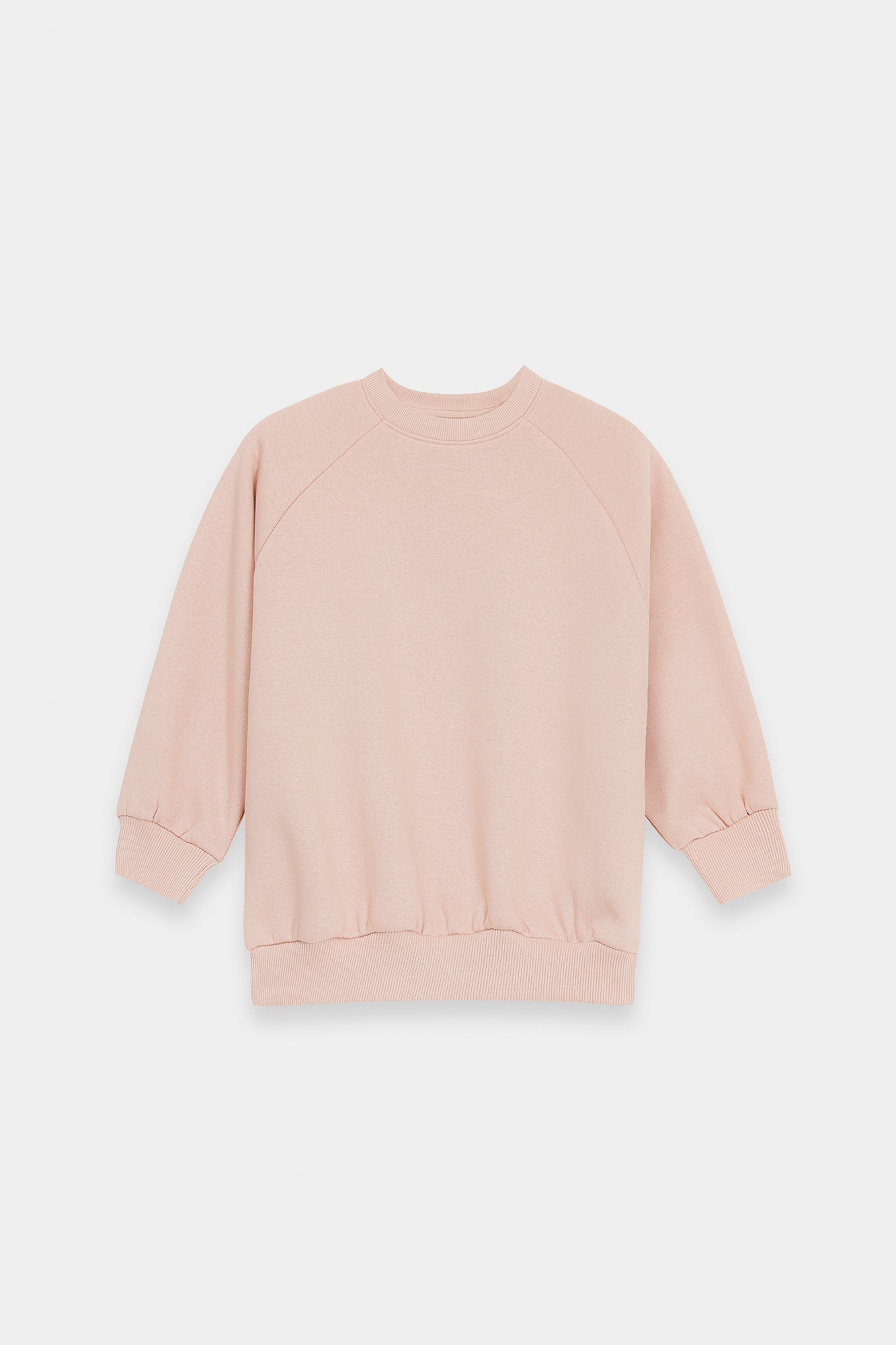 SWEAT SHIRT (E1954/401/329)