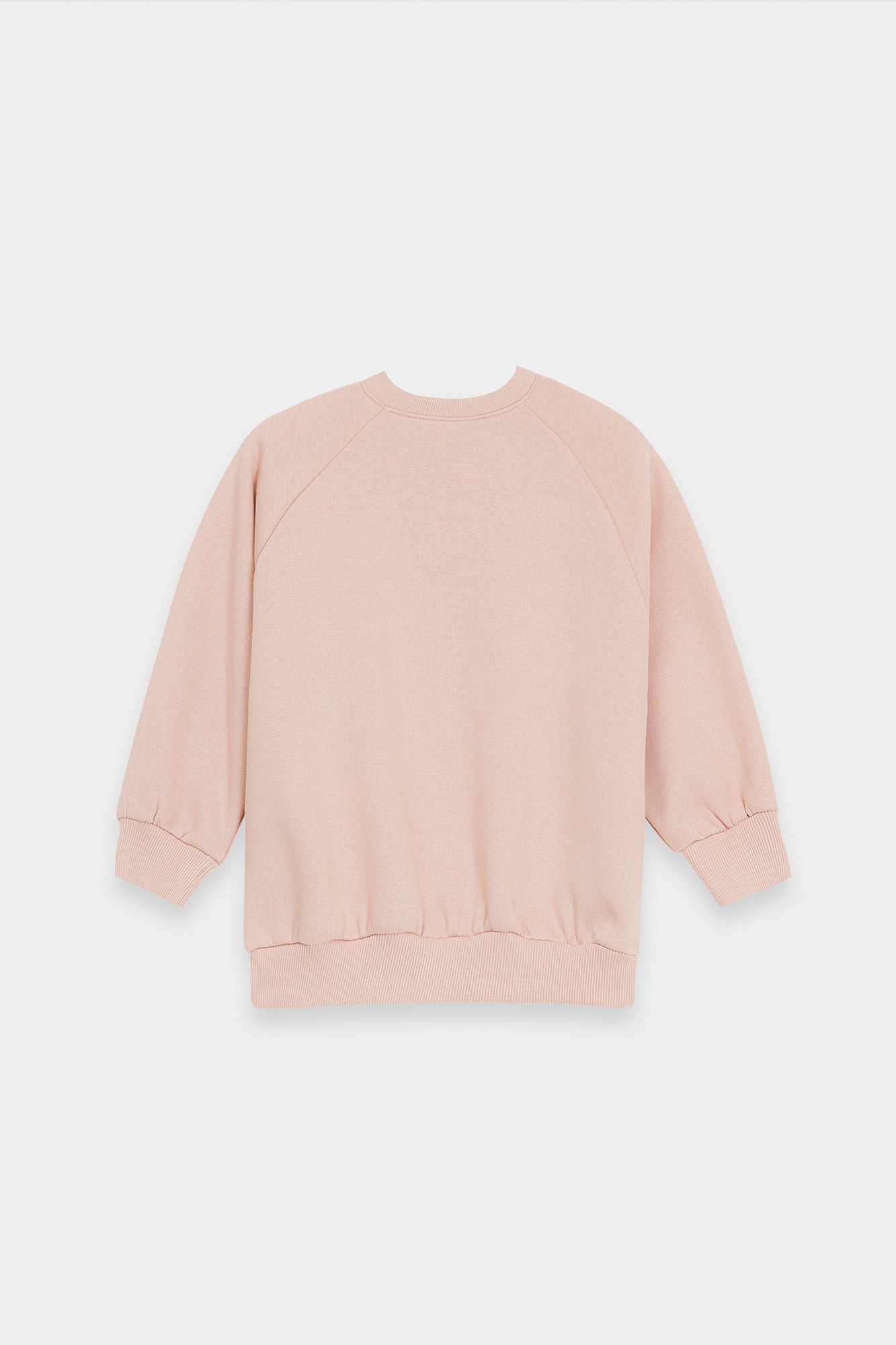 SWEAT SHIRT (E1954/401/329)