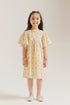 DRESS (E2038/301/227)