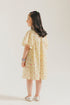 DRESS (E2038/301/227)
