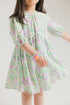 DRESS (E2039/301/001)