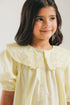 EMBROIDERED DRESS (E2043/301/227)