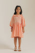 DRESS (E2084/301/326)