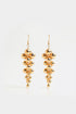 EARRINGS (E2422/110/131)