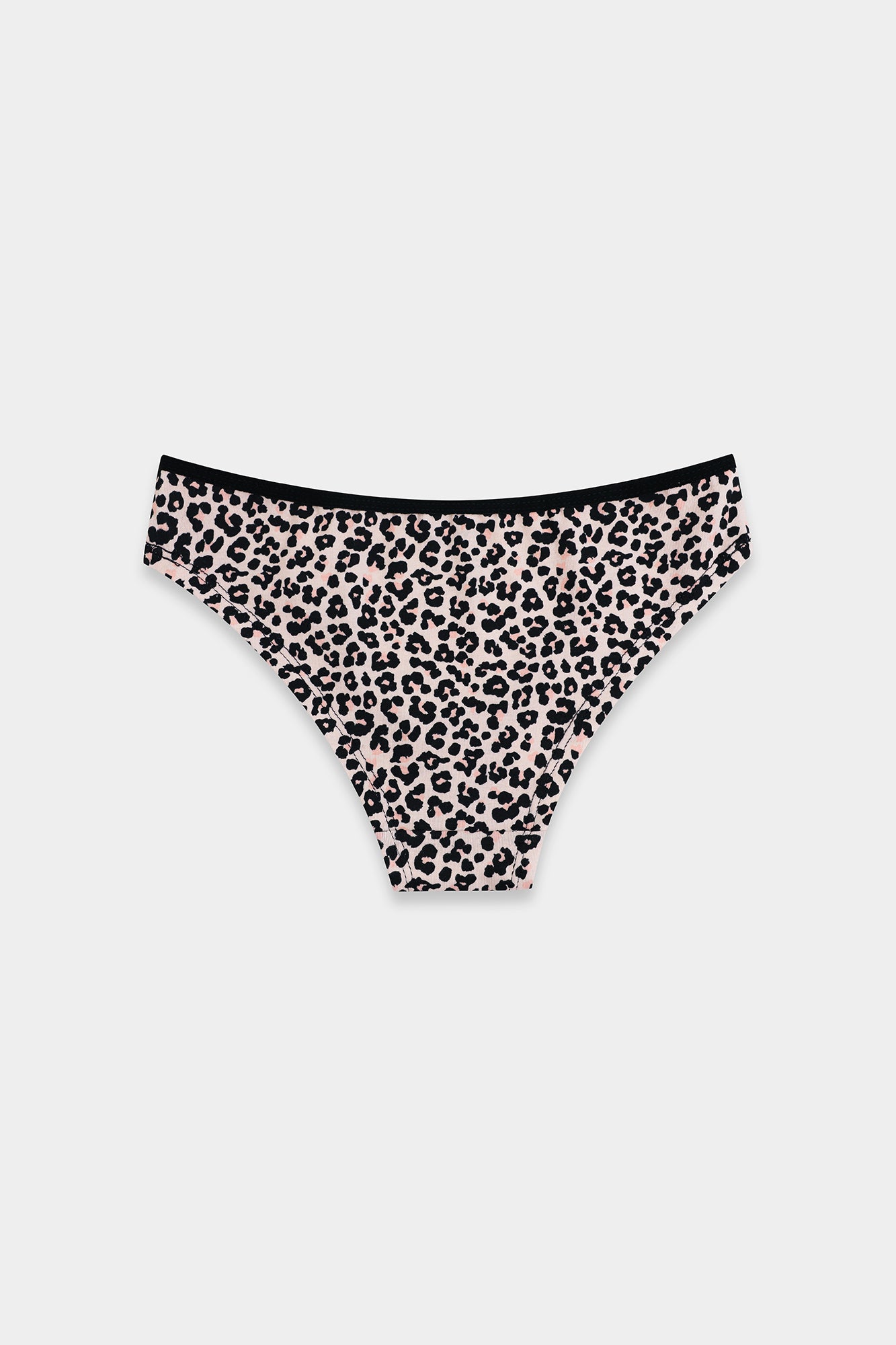 BRIEFS (E2506/111/999)