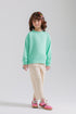 SWEATSHIRT (E2737-401-716)