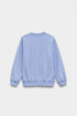 SWEATSHIRT (E2738-401-637)
