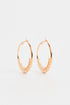 HOOP (E2829/110/131)
