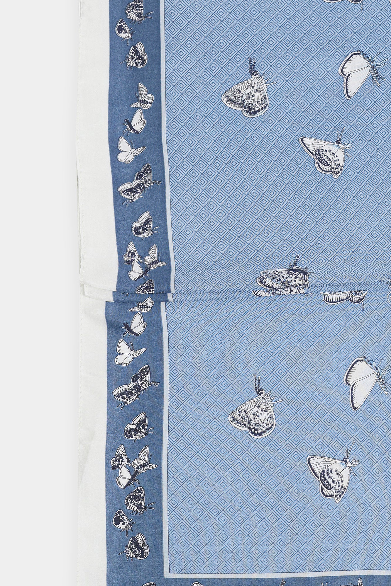 SCARF (E2934/111/635)