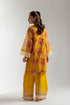 EMBROIDERED SUIT (E3194/103/222)