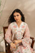 EMBROIDERED SUIT (E3399/103/115)