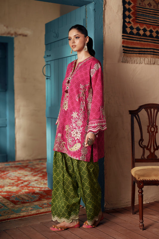 EMBROIDERED SUIT (E4507/103/405)