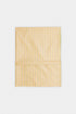 DUPATTA (E5508/102/216)
