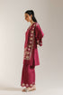 EMBROIDERED SUIT (E6189/102/521)